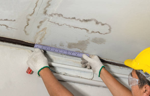 Reliable Burst Pipe Cleanup contractor in Crooks, SD by Water Damage Irwin